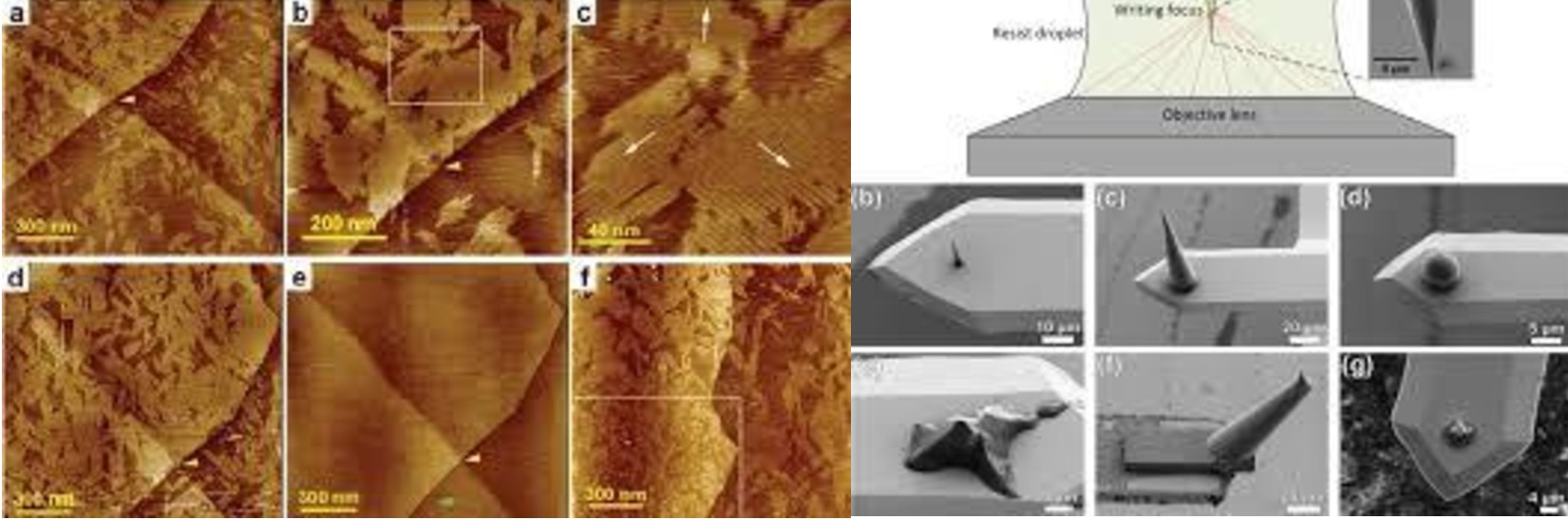 AFM Tips <br>& other consumables
